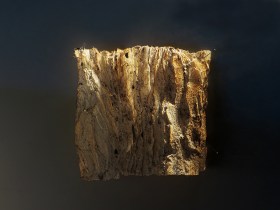 #8 - RedwoodSkin 3-darkcontrast