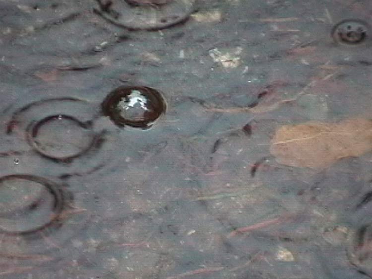 closeup bubble puddle