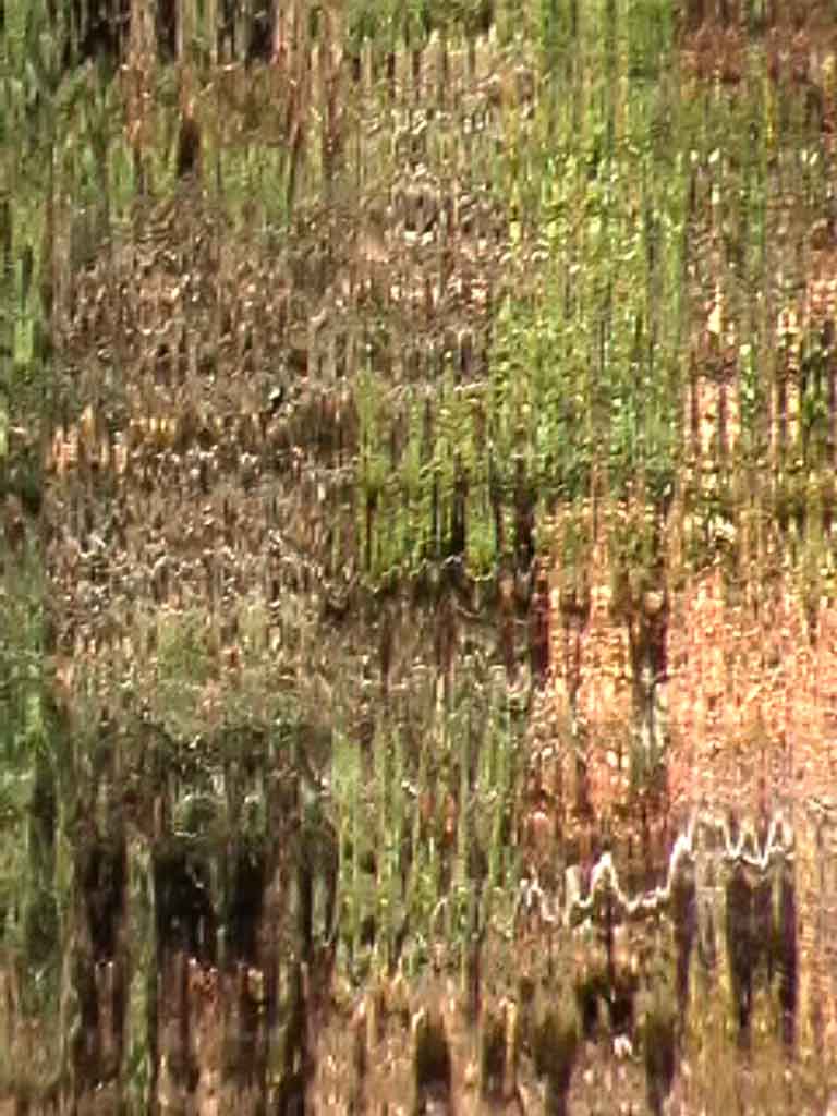 closeup wde reflections