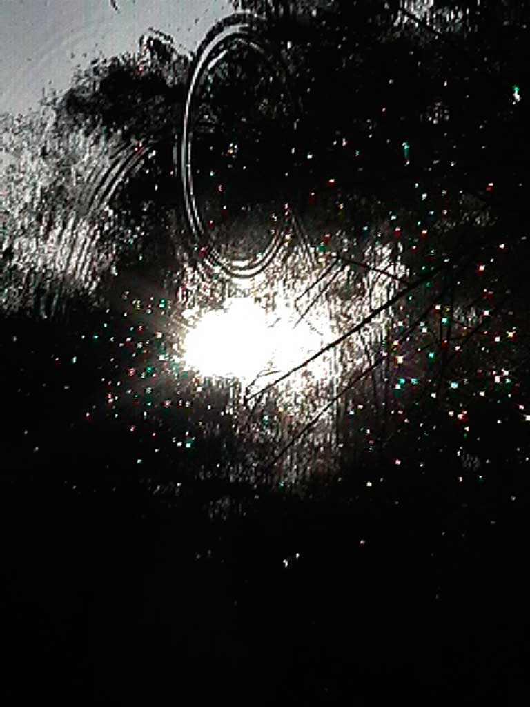 coloured spots in tree 2